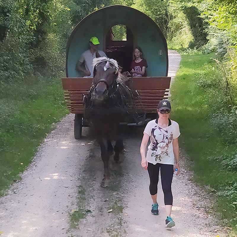 Randonnée en roulotte à cheval dans le bocage normand