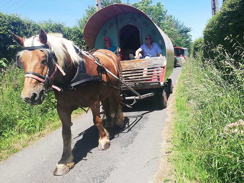 Randonnées en roulotte à cheval dans le bocage normand et le long du bord de mer du Cotentin