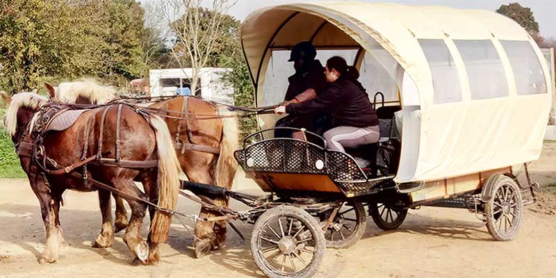 balades en chariot western dans le bocage normand en Cotentin